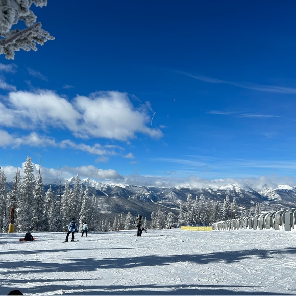 Meet your Posher, Drucilla - Picture 7 of 16